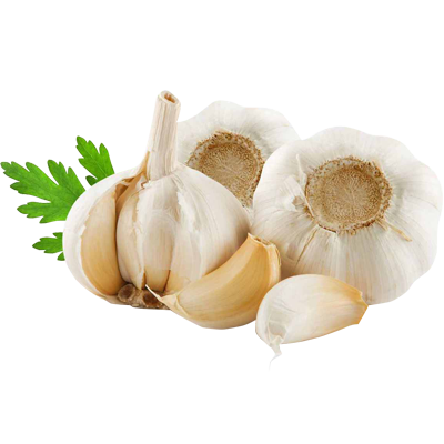 купить чеснок в минске