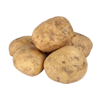 купить картофель скарб в минске