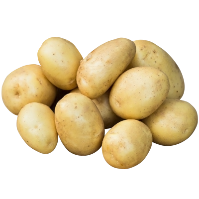 купить картофель уладар в минске