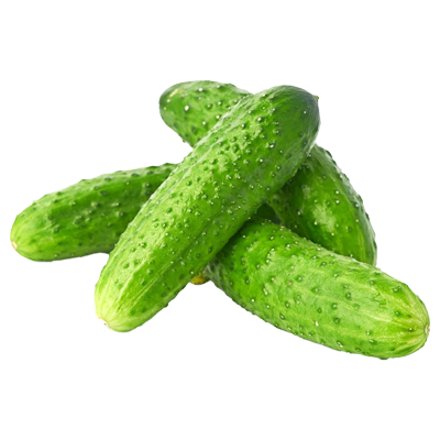 купить свежие огурцы в минске