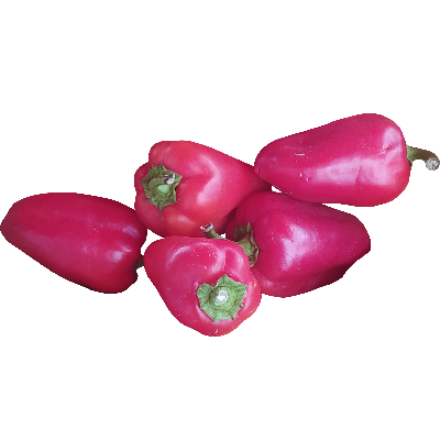 купить сладкий перец в минске